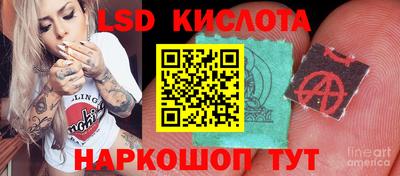 ГАЛЛЮЦИНОГЕННЫЕ ГРИБЫ Бузулук