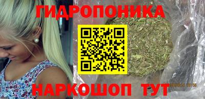спиды Будённовск