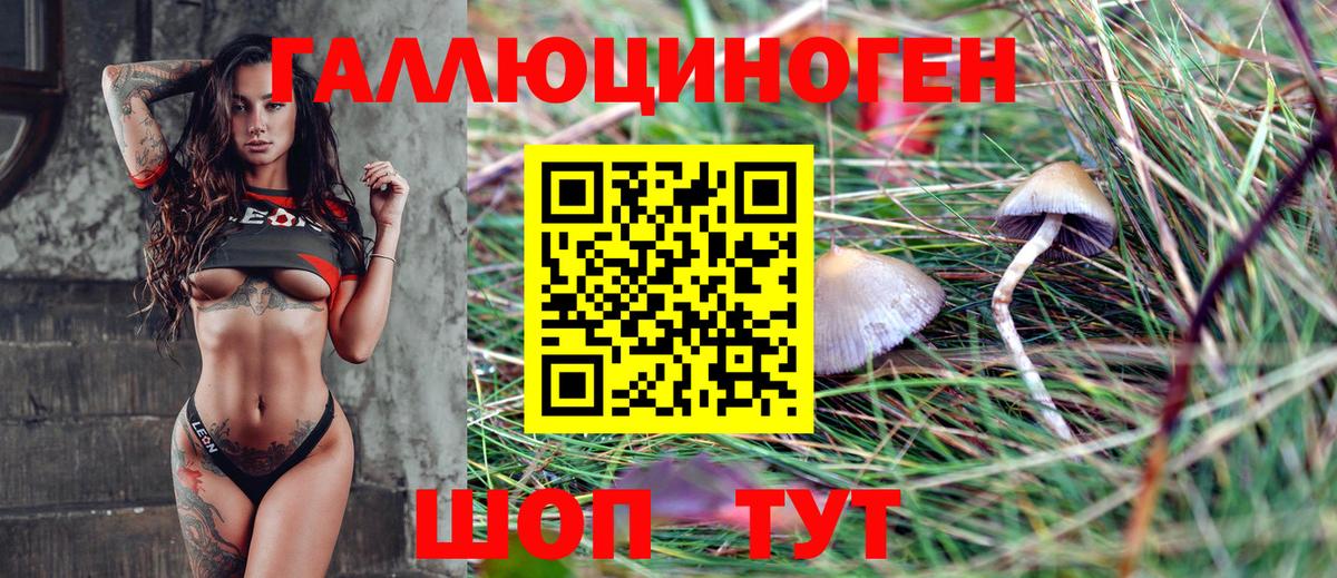 Псилоцибиновые грибы MAGIC MUSHROOMS Кызыл