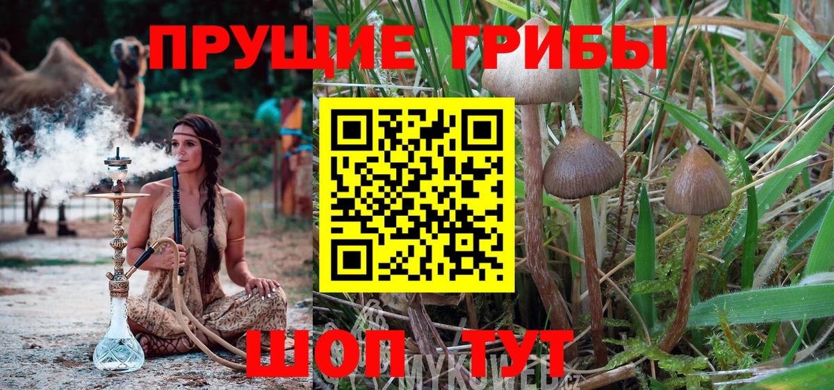 Галлюциногенные грибы Magic Shrooms  Галлюциногенные грибы GOLDEN TEACHER  Вход с VPN  Кызыл 